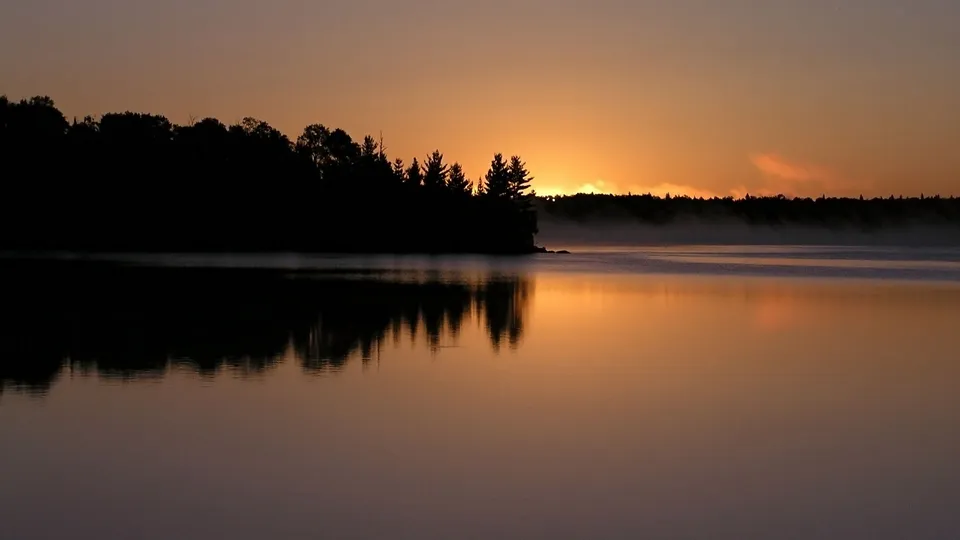 A serene lake reflects the warm colors of a sunrise behind a silhouetted forest with mist rising from the water.