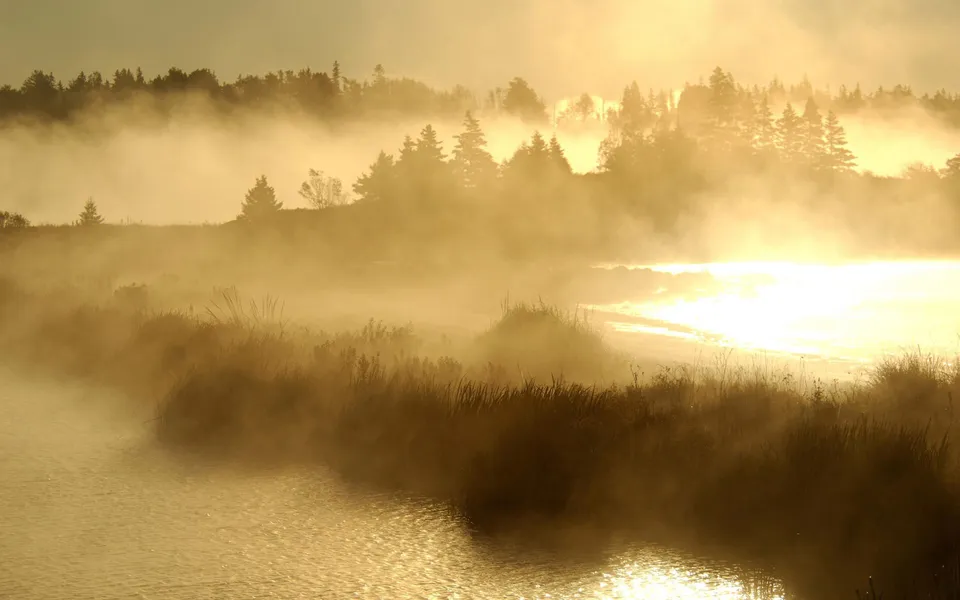 A serene lake is shrouded in mist during a golden sunrise, with trees silhouetted in the background.