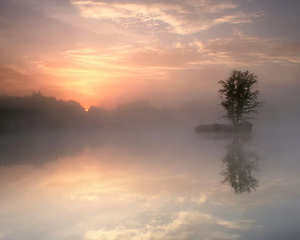 A lone tree stands on a small island in a misty lake during a soft, colorful sunrise.