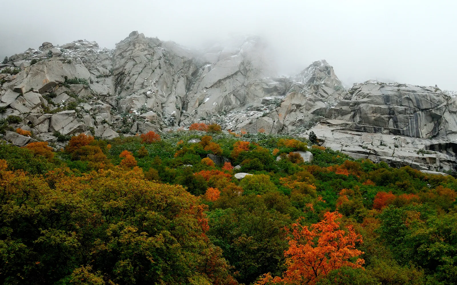 A misty mountain landscape with rocky peaks and a hillside covered in autumn trees.