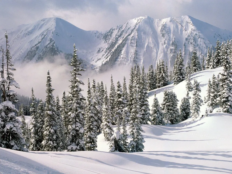 Snow-capped mountains partially obscured by mist, with a dense forest of snow-laden pine trees in the foreground.