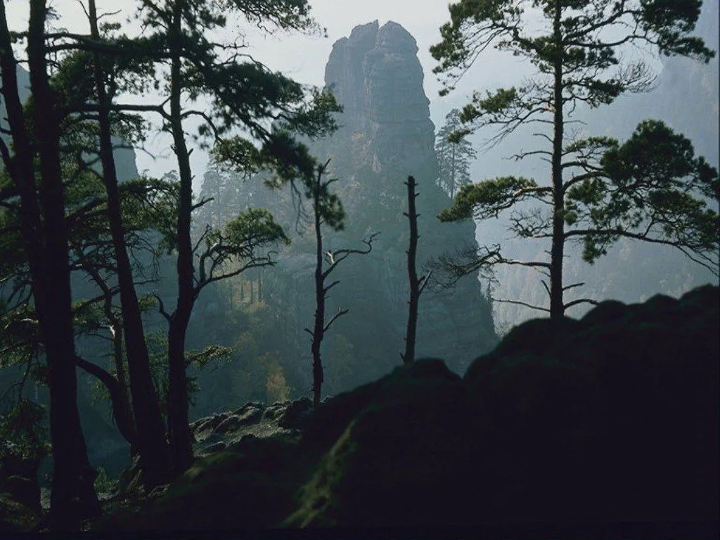 Silhouetted pine trees in the foreground with a large, rocky mountain peak shrouded in mist in the background.