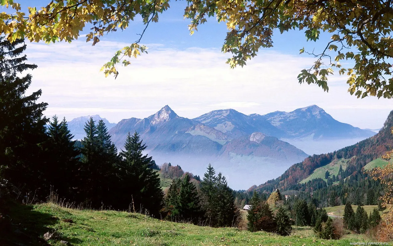 A wide view of a misty mountain valley with evergreen trees and autumn foliage.