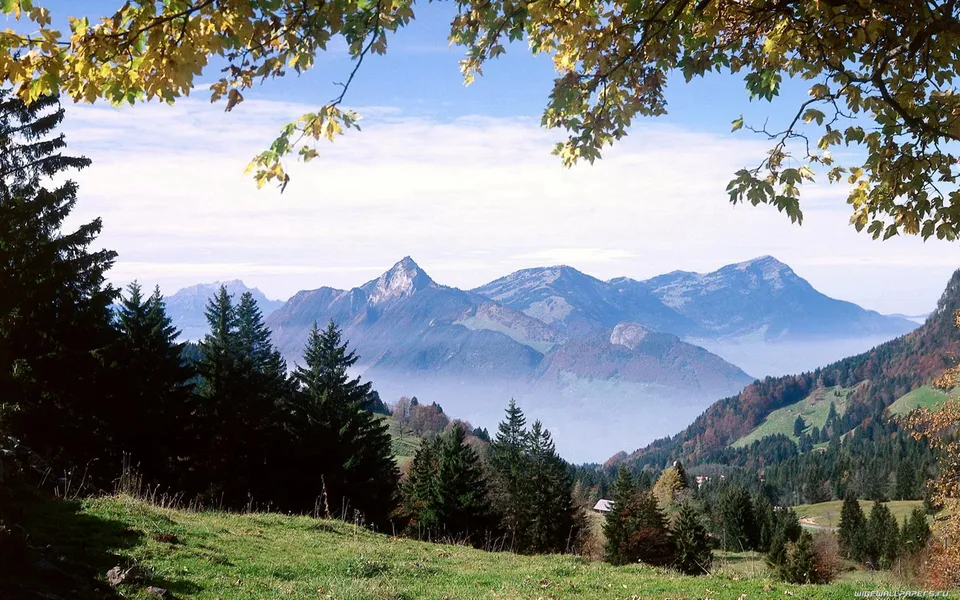 A wide view of a misty mountain valley with evergreen trees and autumn foliage.