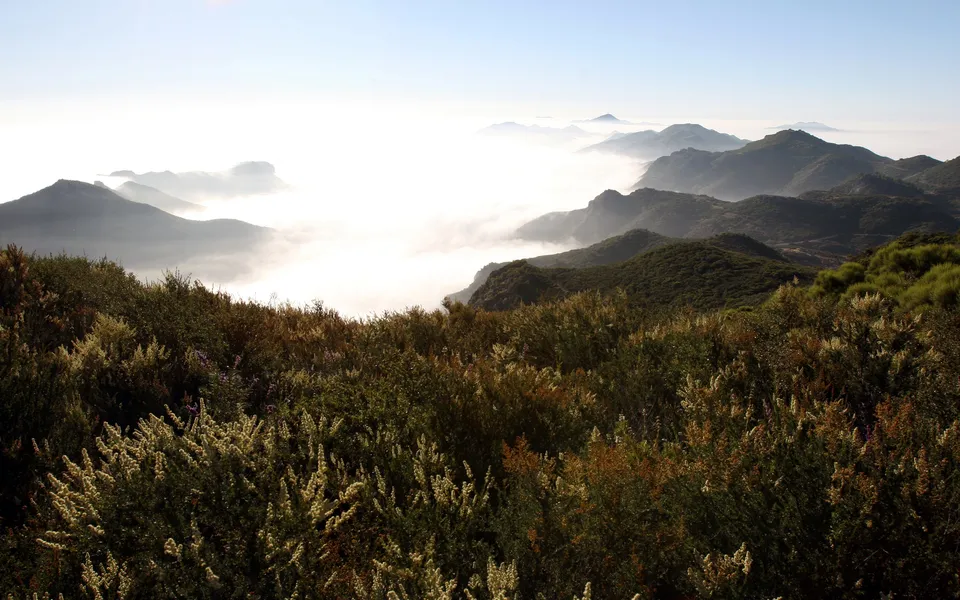 A vast mountain range is partially obscured by a thick layer of fog, with clear sky above.