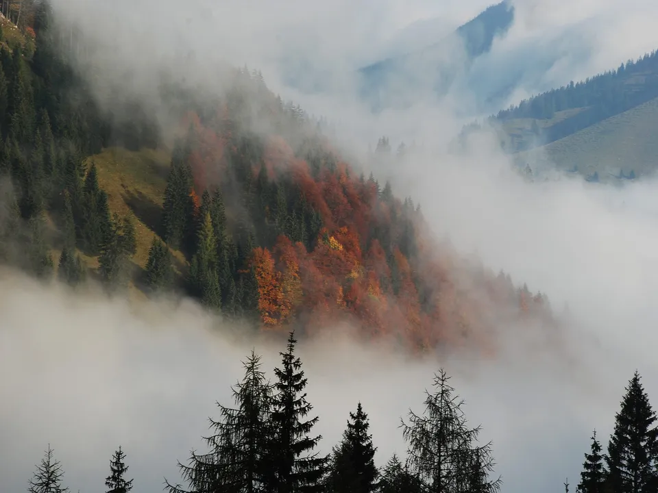 Misty mountainside covered in fog, with patches of autumn foliage visible.