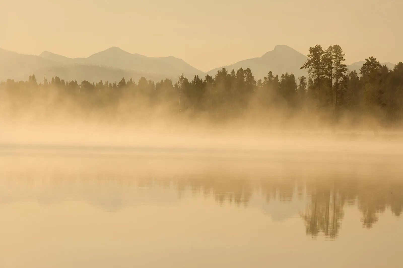 A serene lake or river shrouded in mist at sunrise, with a line of trees and mountains in the background.