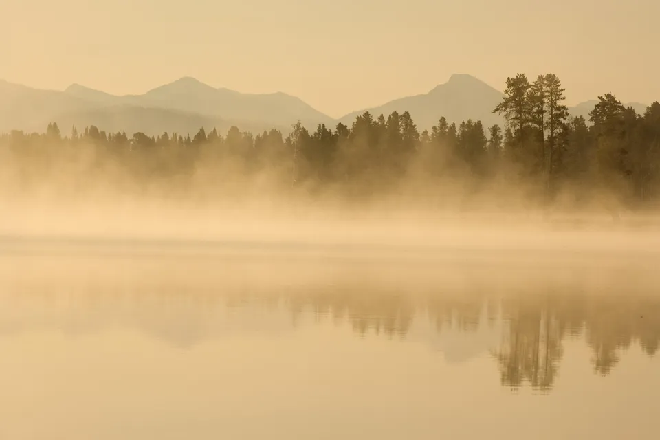 A serene lake or river shrouded in mist at sunrise, with a line of trees and mountains in the background.