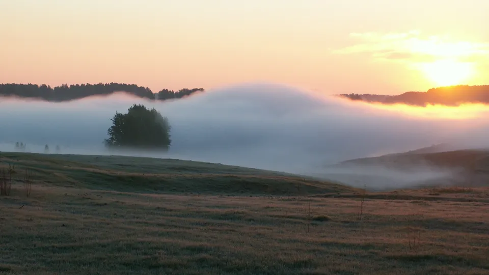 A misty sunrise illuminates rolling hills and a lone tree, with soft pastel colors in the sky.