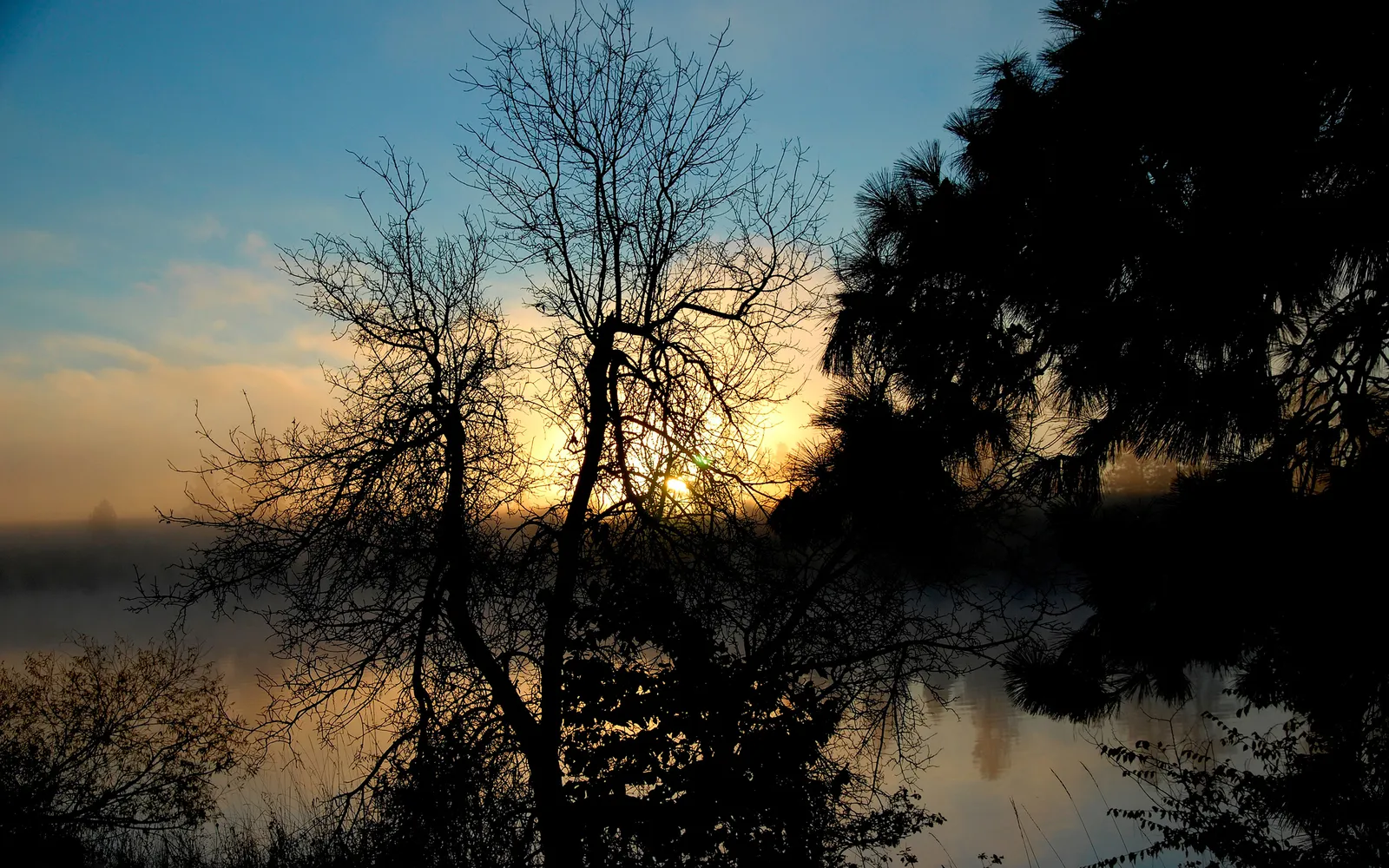 Silhouetted trees frame a misty sunrise over a body of water, with soft clouds in the sky.