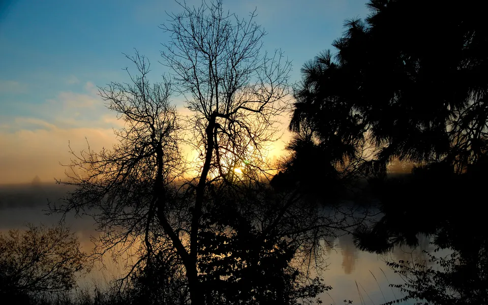 Silhouetted trees frame a misty sunrise over a body of water, with soft clouds in the sky.