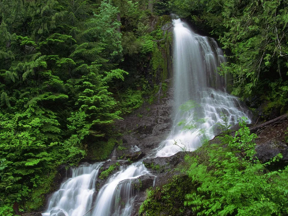 A beautiful waterfall cascades down a rocky slope, surrounded by vibrant green trees.