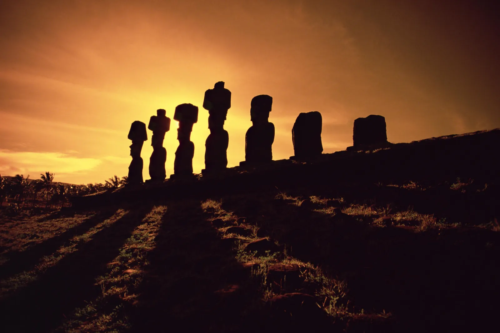 Silhouettes of Moai statues stand on a grassy hill against a vibrant orange sunset sky.