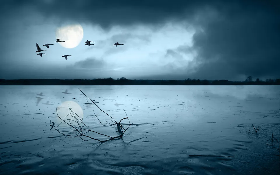 A flock of birds flies across a full moon over a frozen lake with dark clouds.