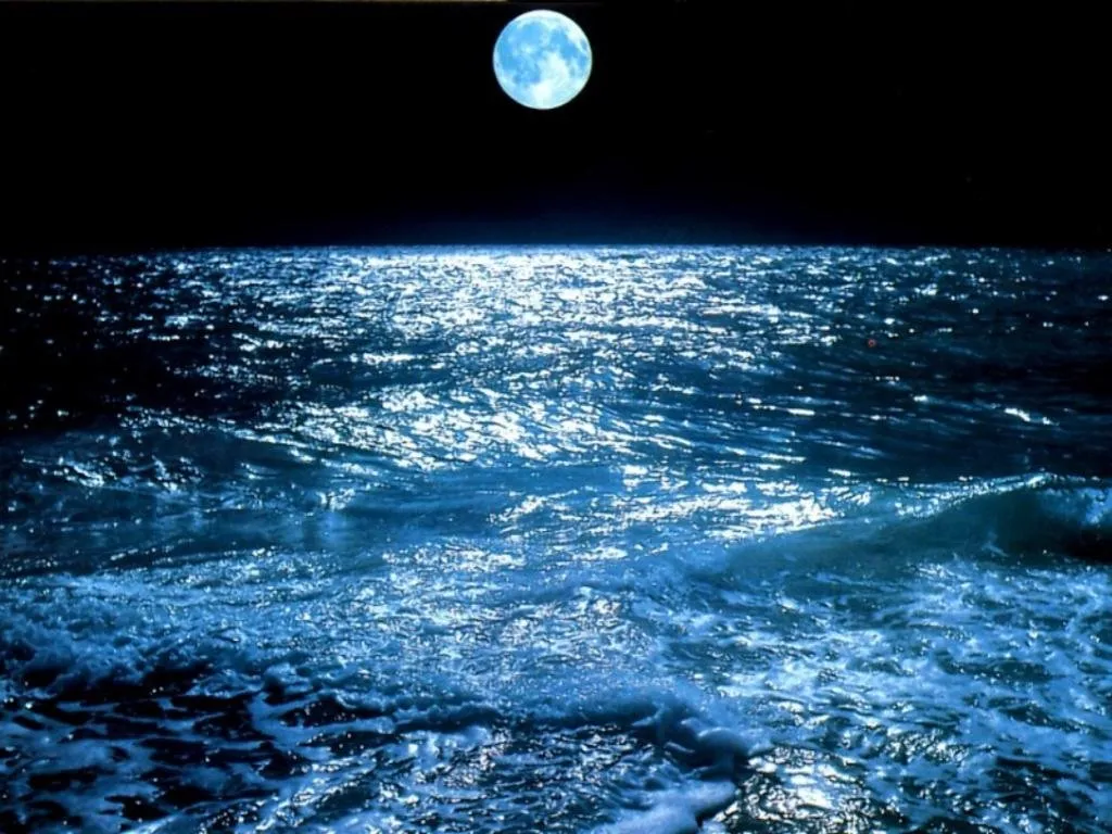 A full moon shines brightly over a dark ocean, casting a shimmering path on the choppy waves.