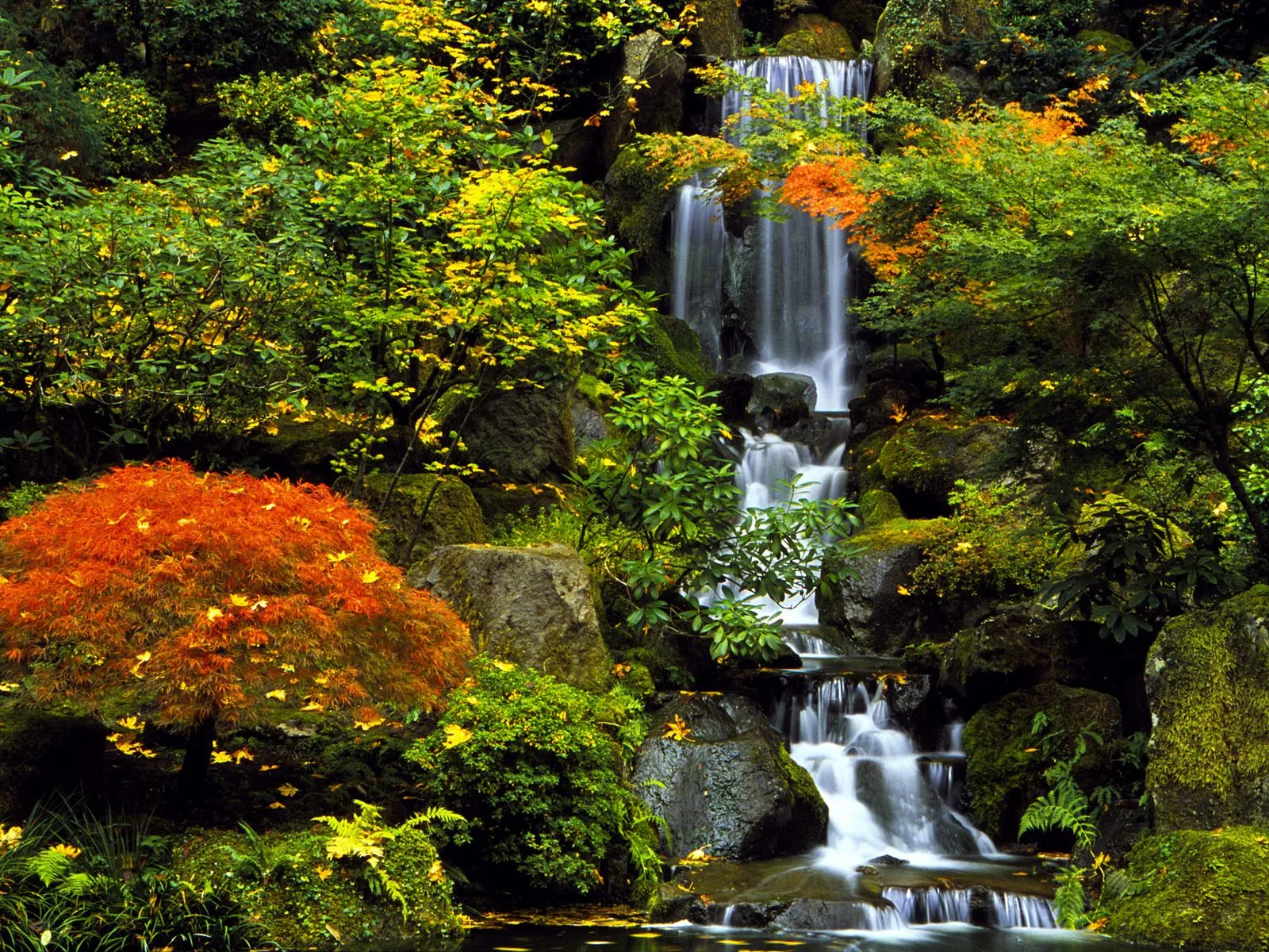 A waterfall flows over mossy rocks with green and fiery orange autumn leaves.