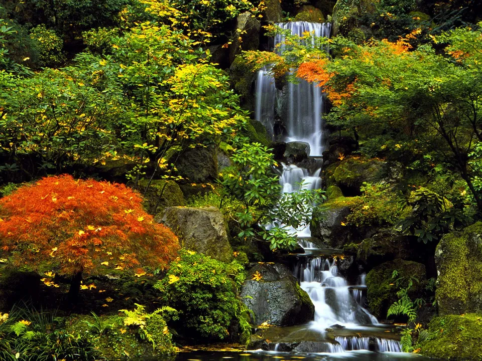 A waterfall flows over mossy rocks with green and fiery orange autumn leaves.