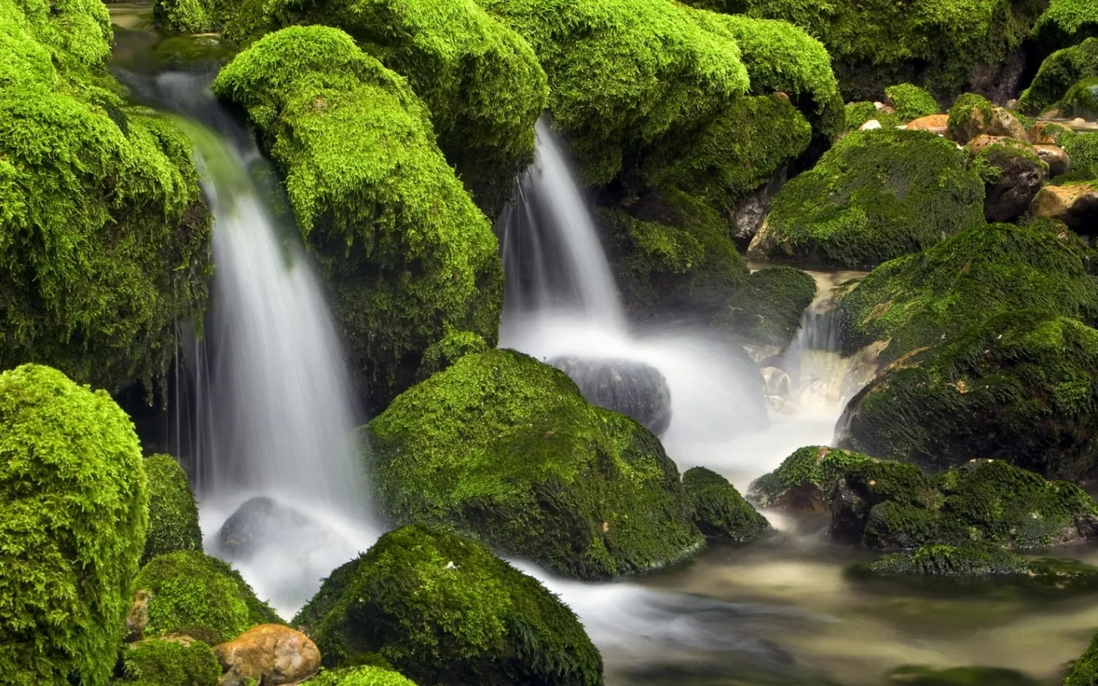 A gentle waterfall flows over large rocks covered in vibrant green moss.