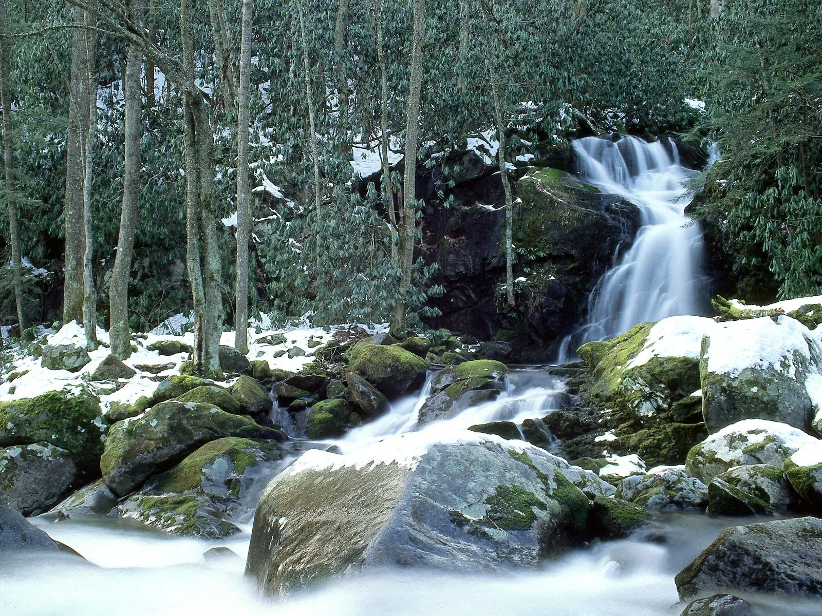 A serene waterfall cascades over dark, moss-covered rocks in a snowy forest.
