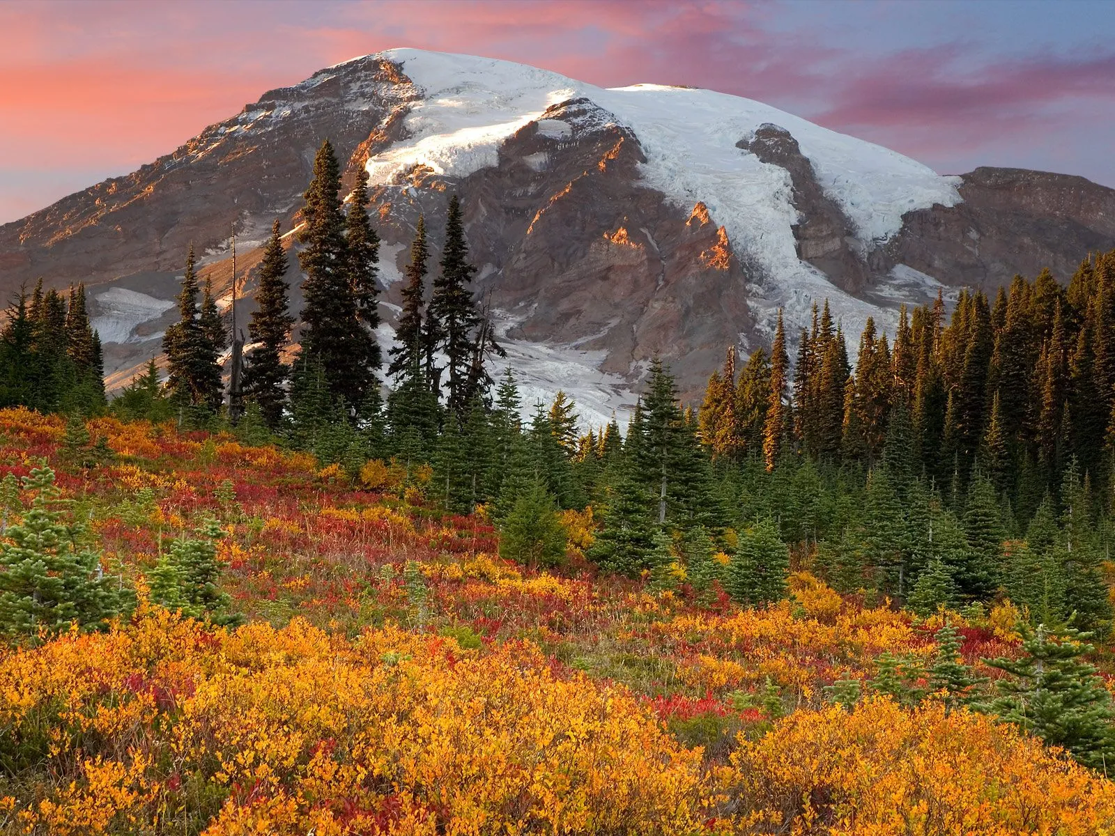 A snow-capped mountain peak glows in the sunset light, with a foreground of vibrant autumn foliage and evergreen trees.