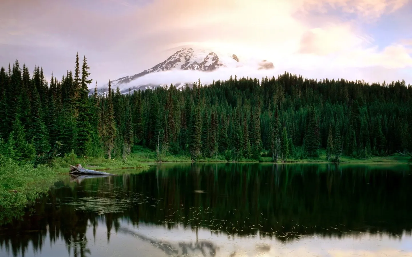 A snow-capped Mount Rainier is reflected in a calm lake, surrounded by evergreen trees.