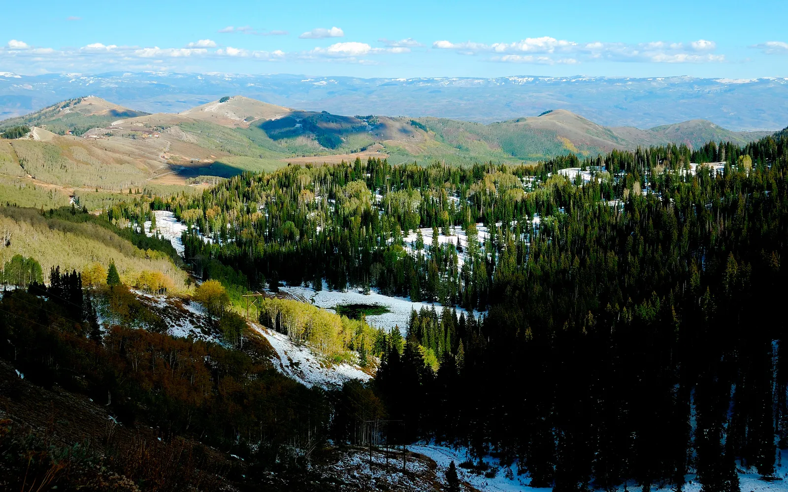 A wide view of a mountain range covered in evergreen trees, with patches of snow on the slopes and a bright blue sky.