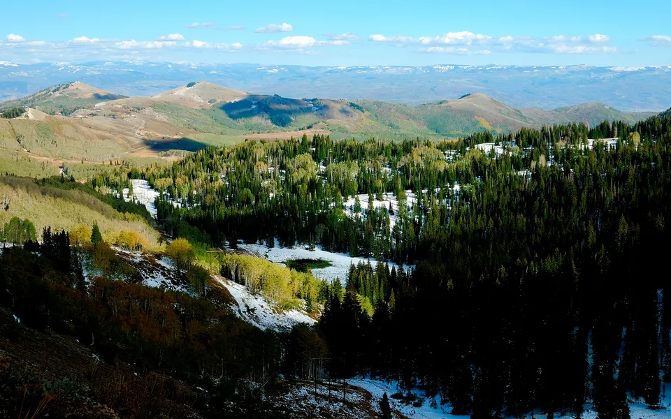 A wide view of a mountain range covered in evergreen trees, with patches of snow on the slopes and a bright blue sky.