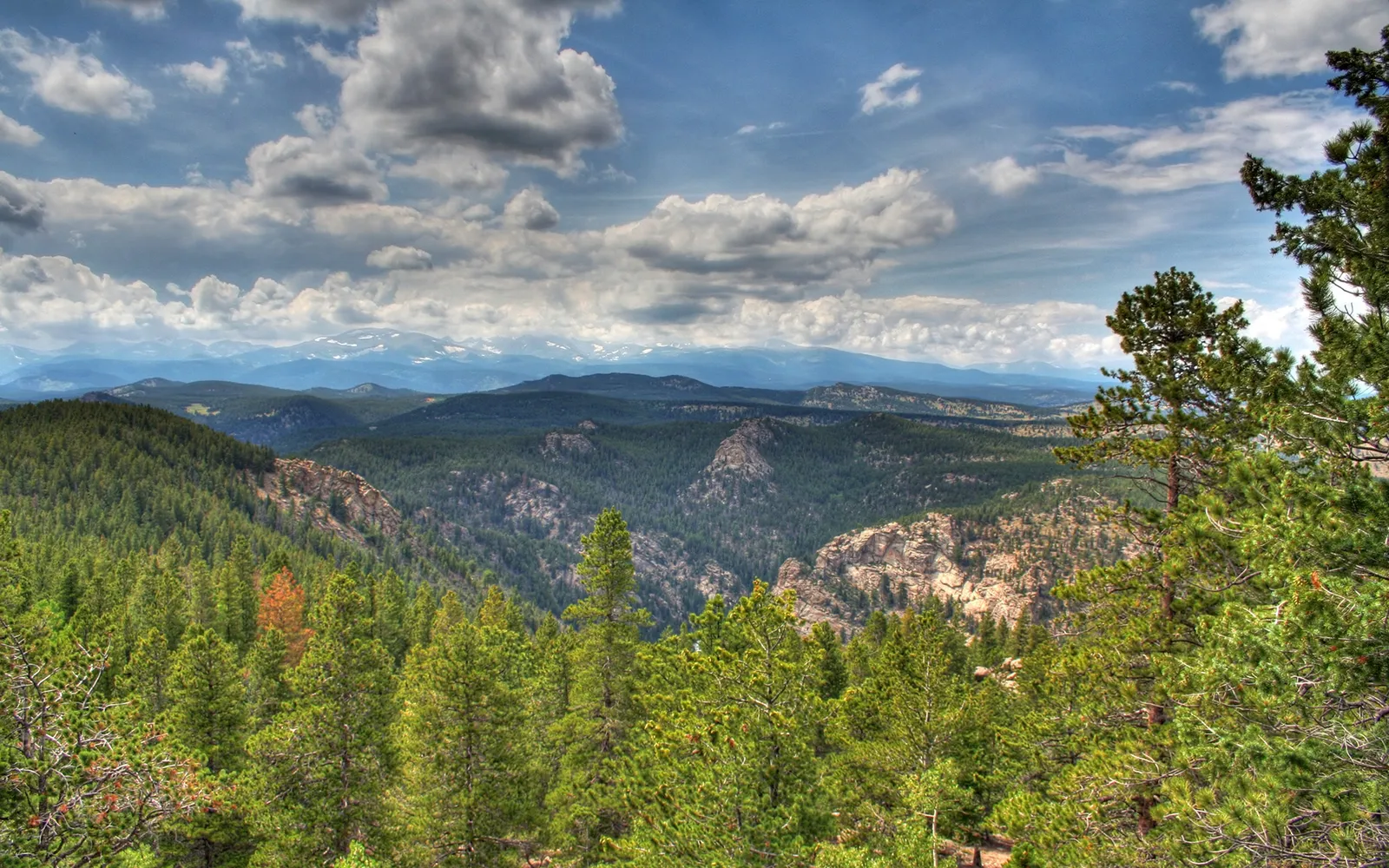 A wide view of a dense green forest covering rolling hills, leading to distant blue mountains under a dramatic cloudy sky.
