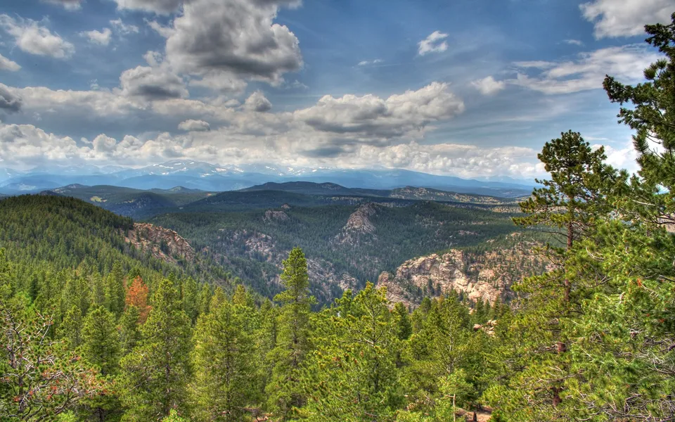 A wide view of a dense green forest covering rolling hills, leading to distant blue mountains under a dramatic cloudy sky.