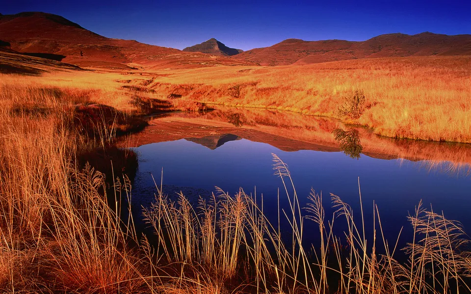 A serene mountain landscape with golden grasses and a calm lake reflecting the hills and sky.