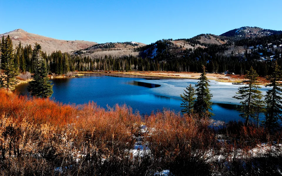 A partially frozen mountain lake surrounded by pine trees and autumn foliage under a clear blue sky.