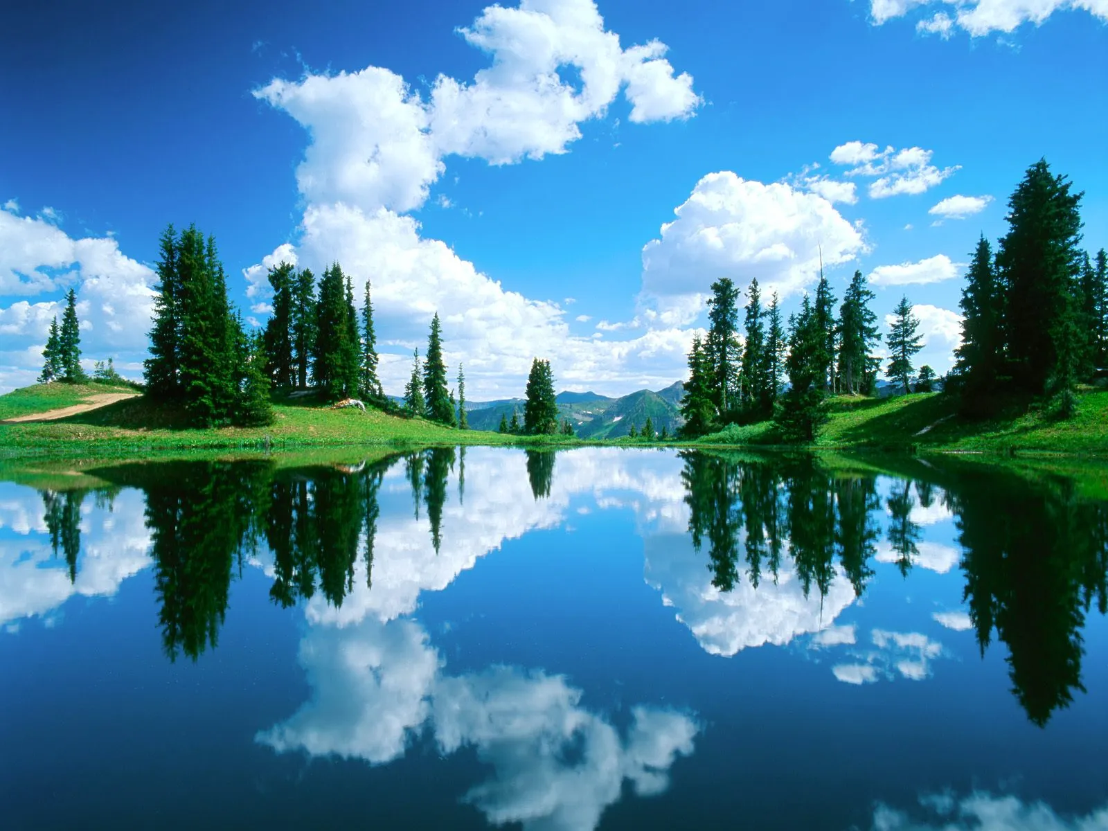 A mountain lake reflects a vibrant blue sky with fluffy white clouds and evergreen trees.