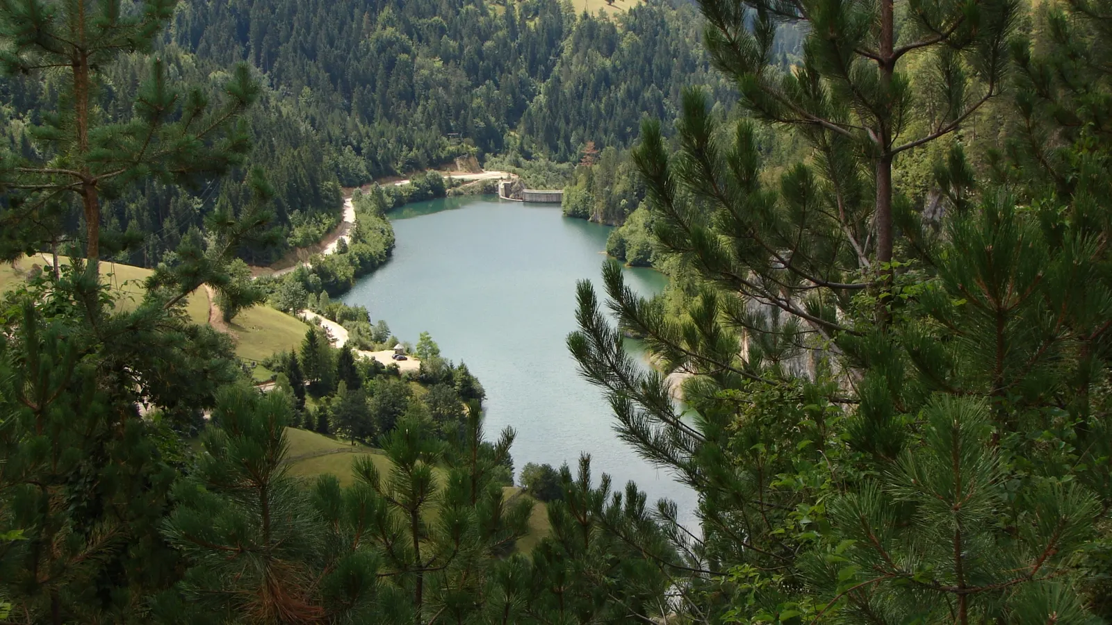 A wide view of a calm lake nestled in a valley, surrounded by dense green forests and framed by pine trees.