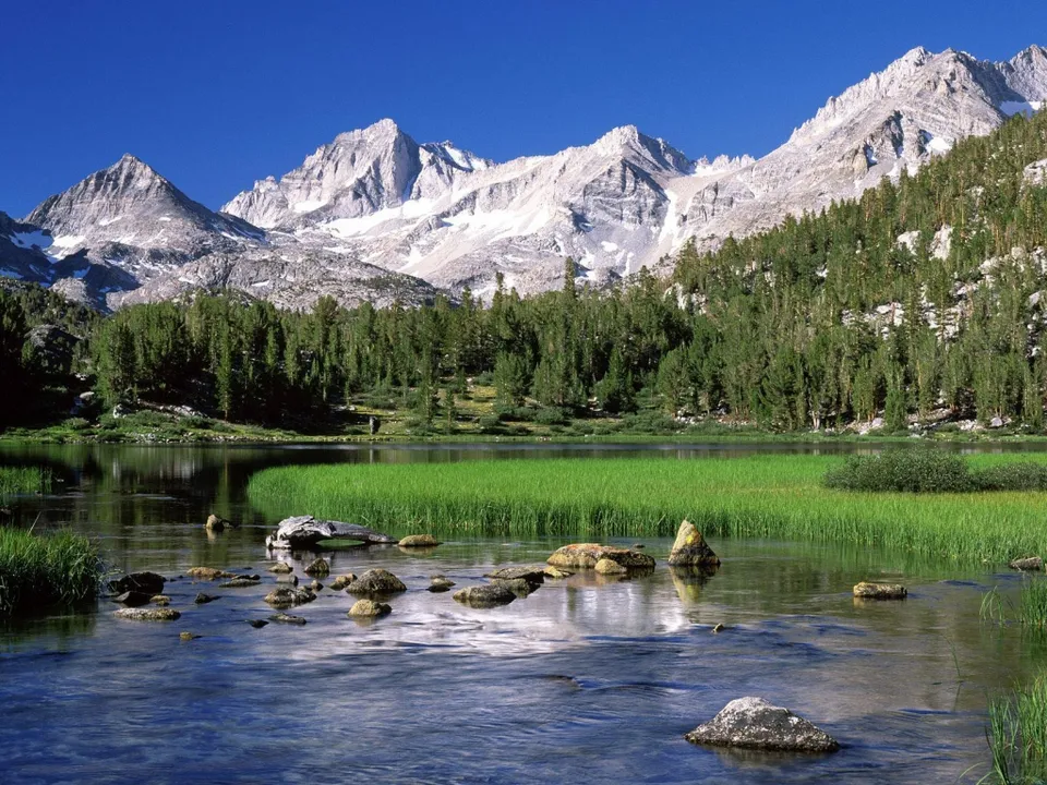 A clear blue sky above snow-capped mountains, a dense green forest, and a calm lake with rocks and grass.