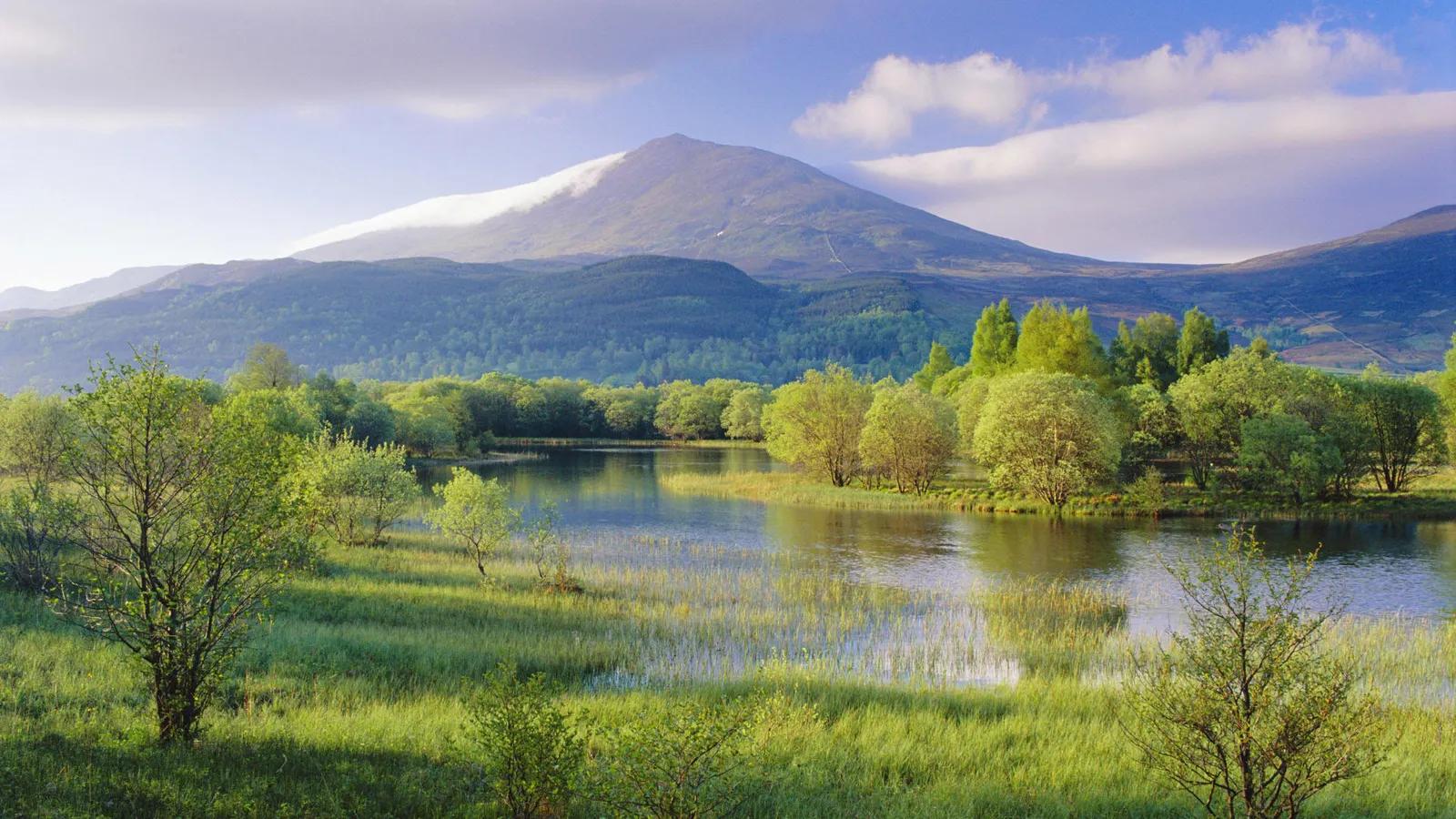 A wide view of a calm lake with reeds, surrounded by trees and a large mountain in the background under a cloudy sky.
