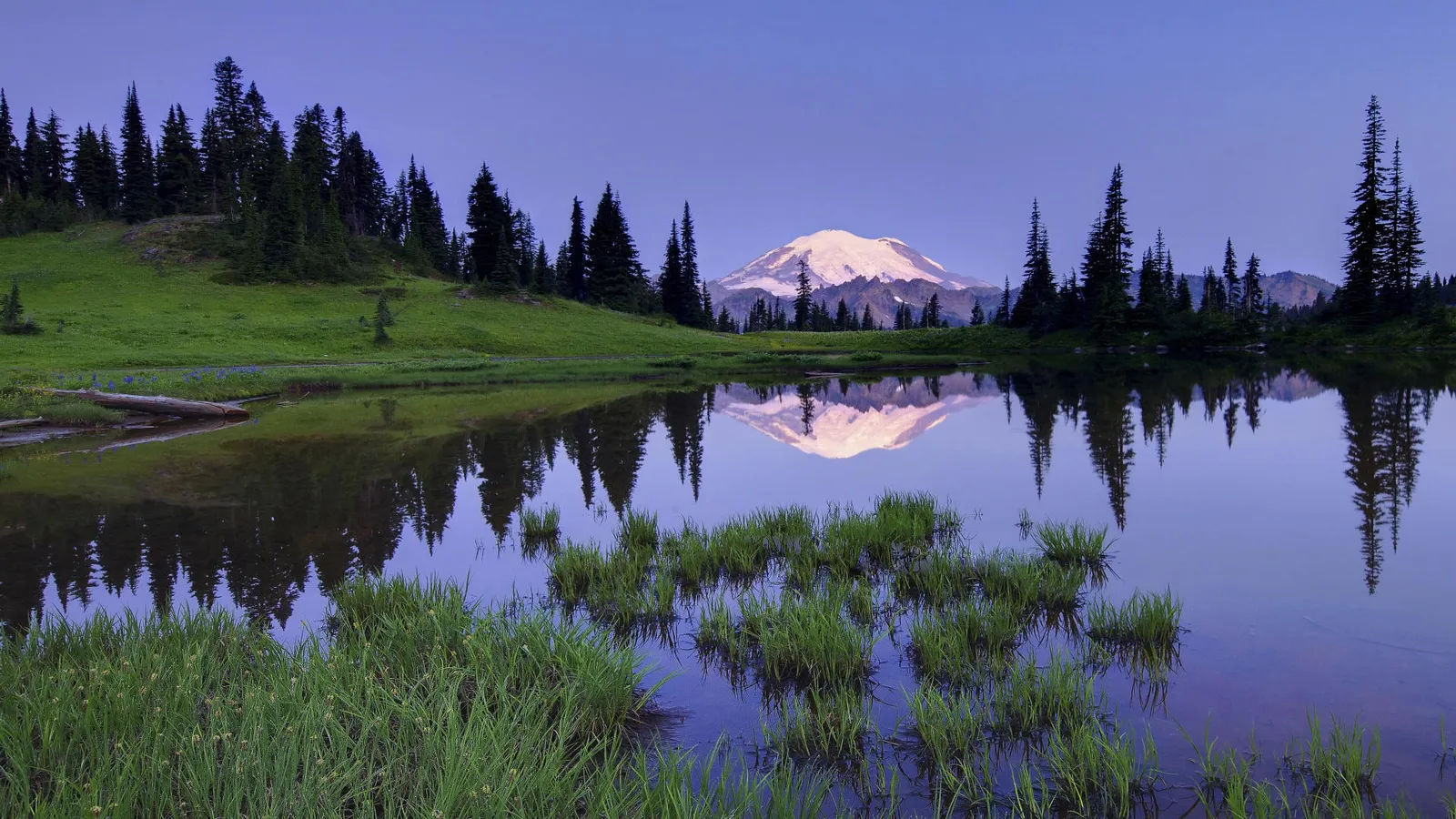 A snow-capped mountain is reflected in a calm lake surrounded by evergreen trees and green grass.