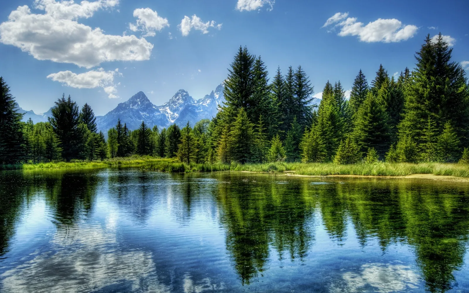 A calm lake reflects snow-capped mountains and a dense evergreen forest under a blue sky with white clouds.