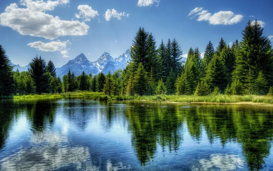 A calm lake reflects snow-capped mountains and a dense evergreen forest under a blue sky with white clouds.