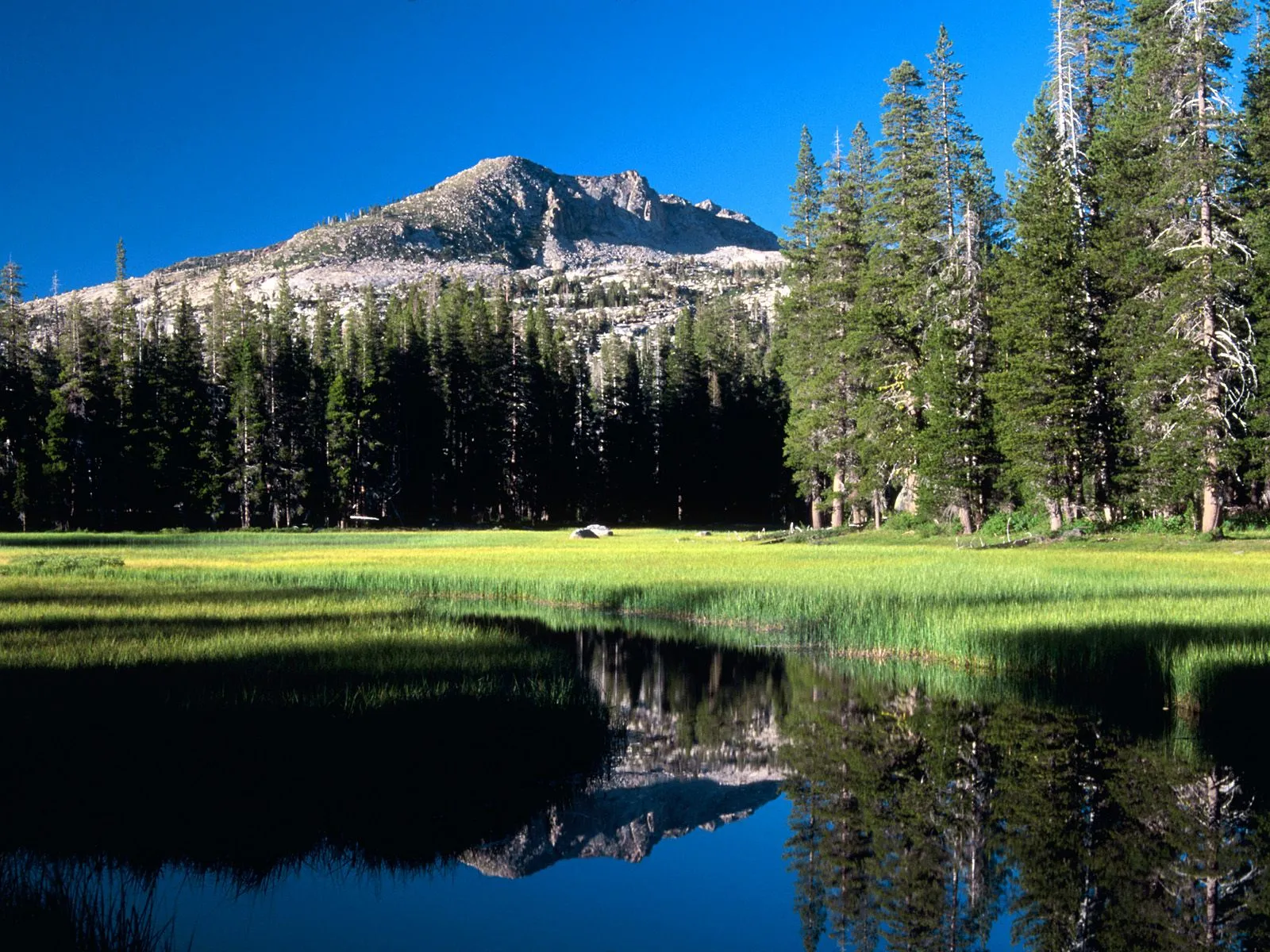 A calm lake perfectly reflects a rocky mountain and pine trees under a clear blue sky.