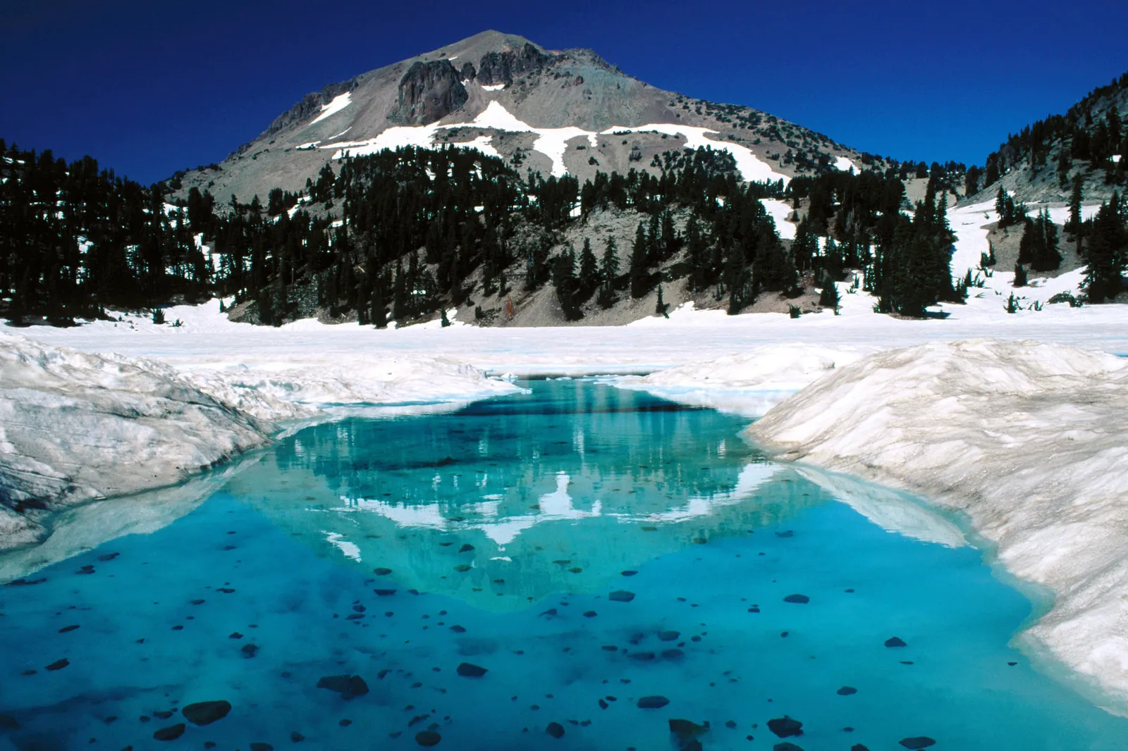 A bright blue lake with visible rocks on the bottom reflects a snow-capped mountain and dark green pine trees under a clear blue sky.