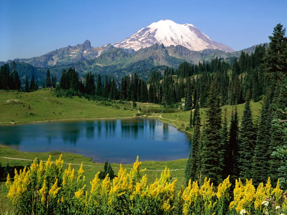 A serene lake reflects a snow-capped mountain under a clear blue sky, with pine trees and yellow wildflowers in the foreground.