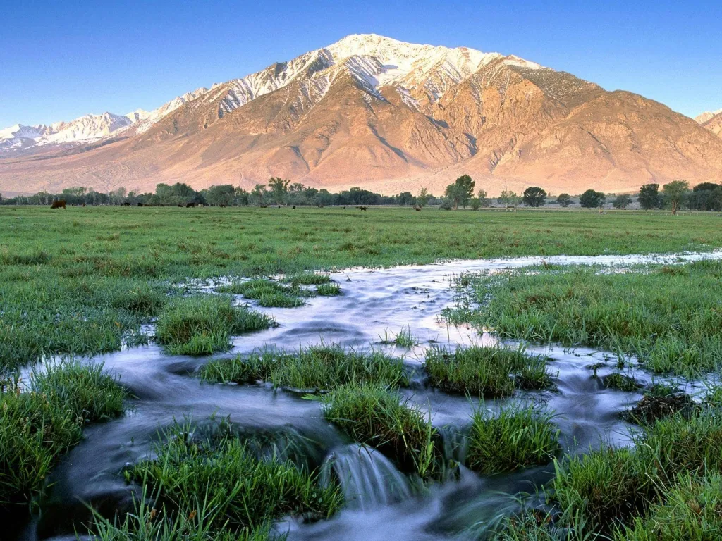 A wide green meadow with a stream flowing through it, leading to snow-capped mountains under a clear blue sky.