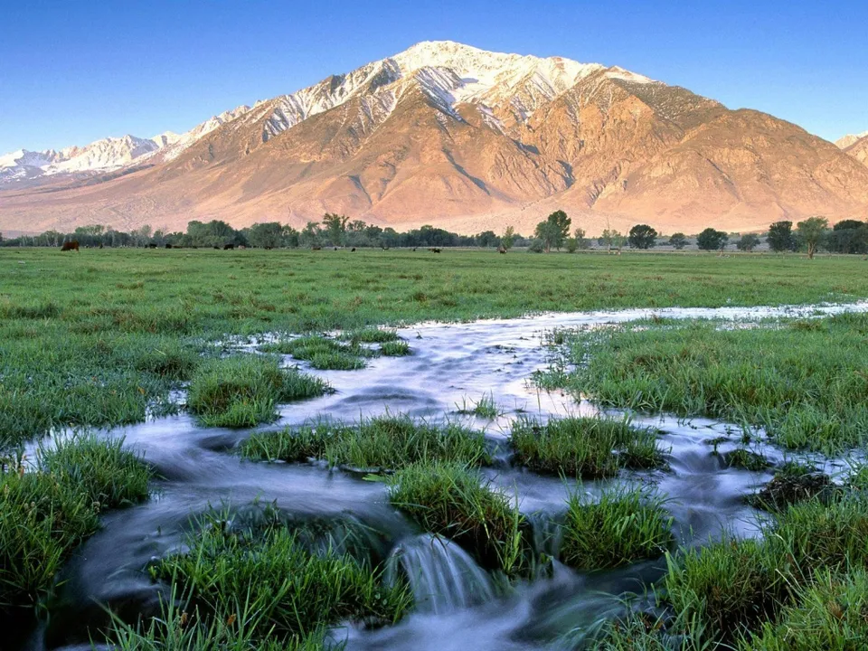 A wide green meadow with a stream flowing through it, leading to snow-capped mountains under a clear blue sky.