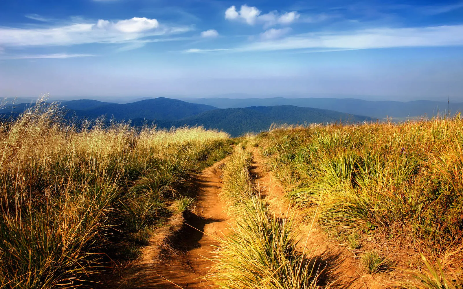 A dirt path winds through dry, golden grass up a mountain slope with blue hills in the distance.