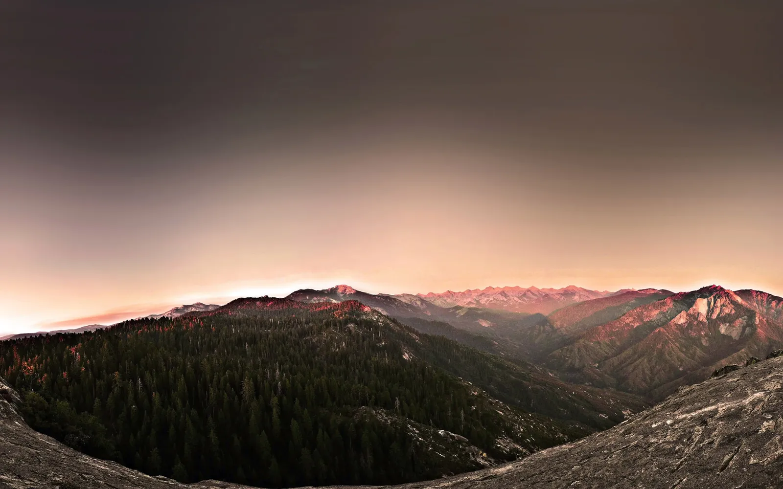 A panoramic view of a vast mountain range with a dense forest in the foreground, illuminated by the soft light of sunrise or sunset.