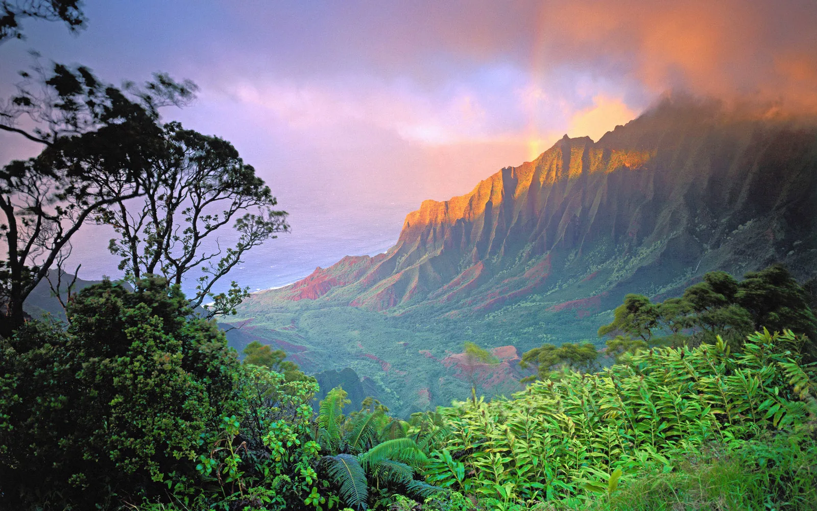 A dramatic mountain ridge is illuminated by the golden light of sunrise, with lush green vegetation in the foreground and the ocean in the distance.