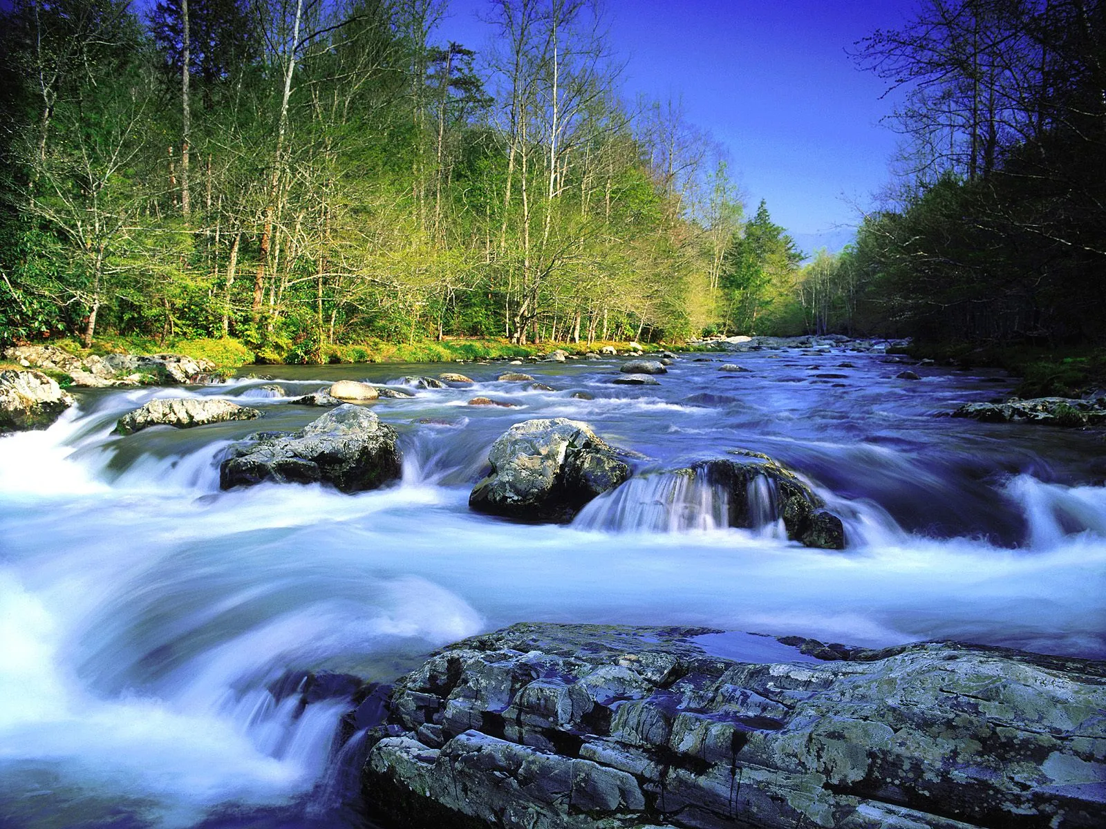 A wide, fast-flowing river with white water rapids and smooth, blurred water, bordered by trees under a clear blue sky.