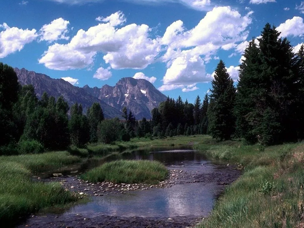 A calm river flows through a grassy meadow with pine trees and mountains in the background under a blue sky with clouds.