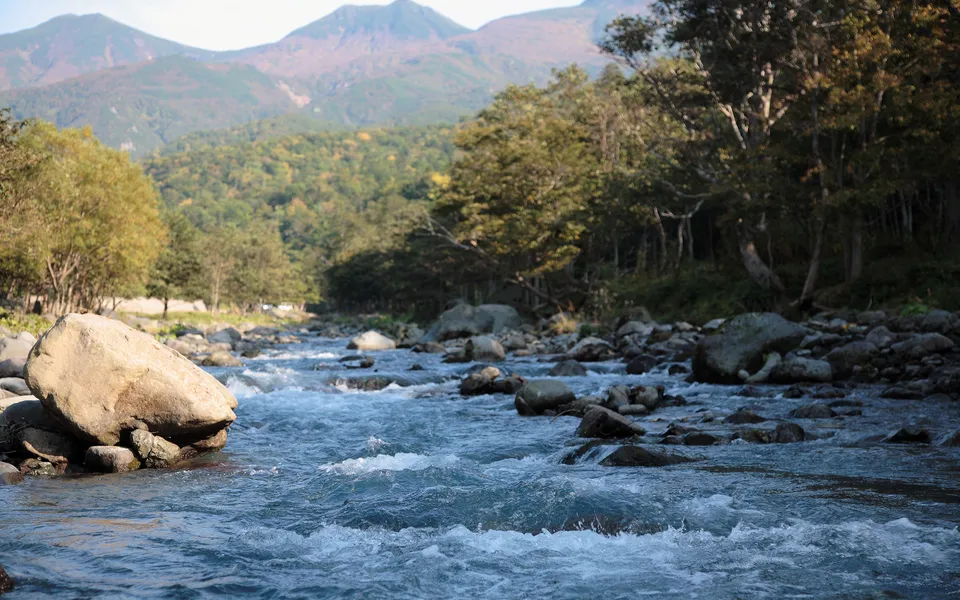 A fast-flowing river with white water rushes over rocks, with trees and mountains in the background.