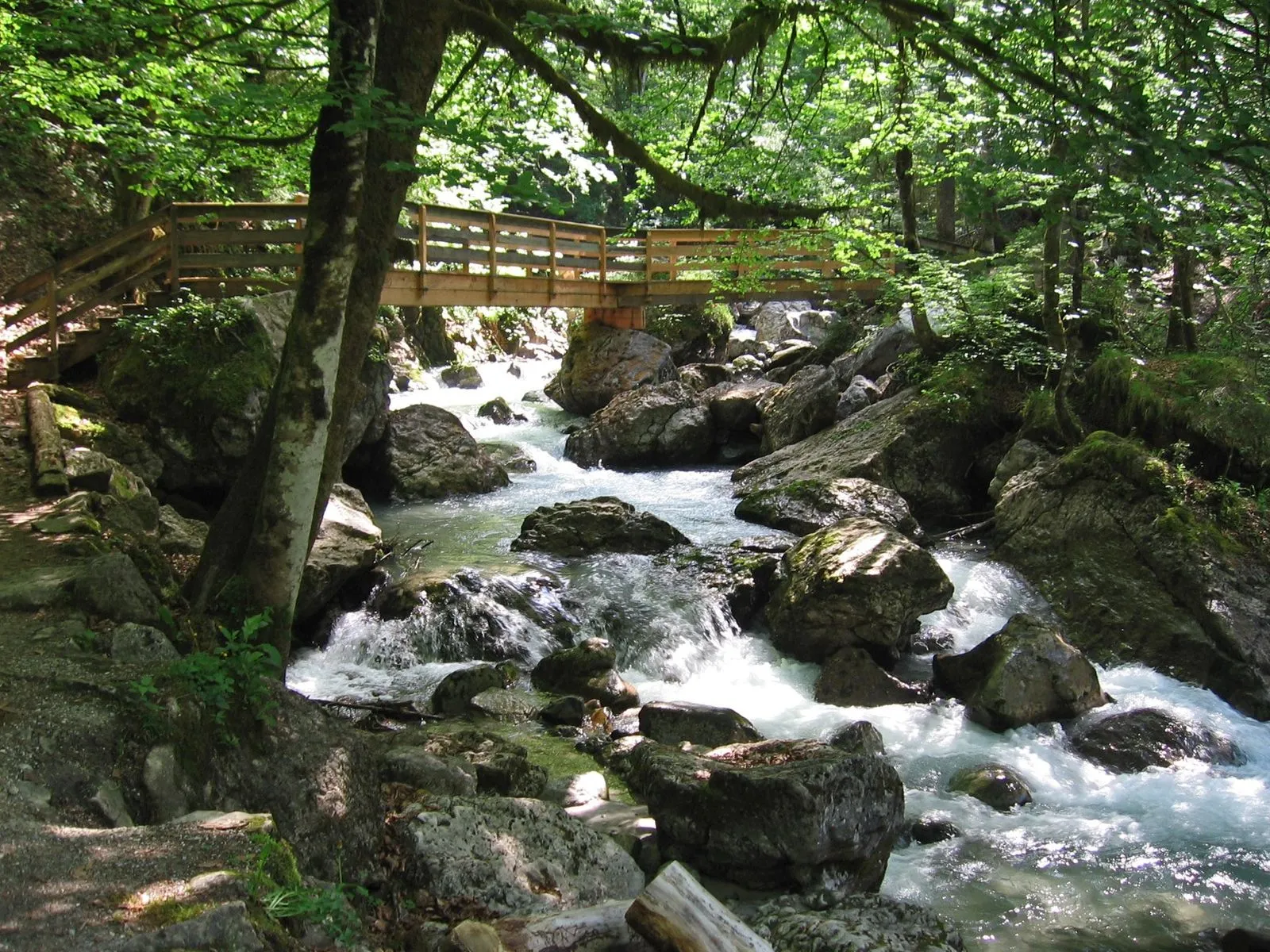 A wooden bridge spans a rocky stream flowing through a lush green forest.